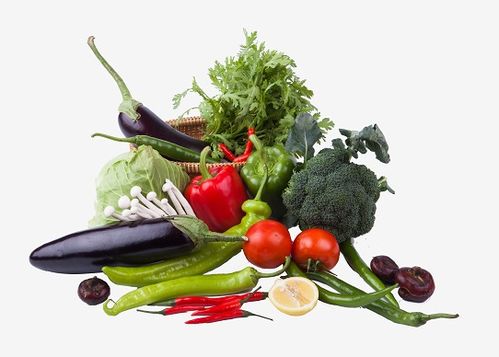 平衡饮食的关键 聚焦重点食物与科学餐饮服务